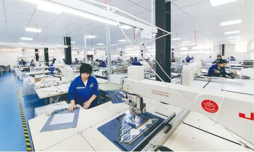 南乐县集团化战略引领新材料服装创新与就业增长