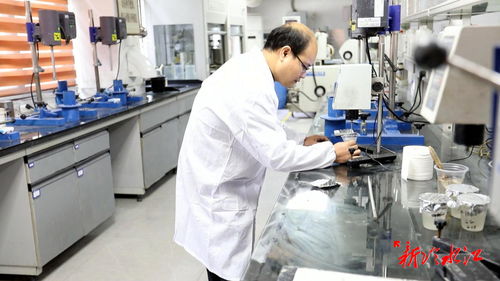 锑都工匠王志成 专注研发的企业工匠，引领新材料技术突破